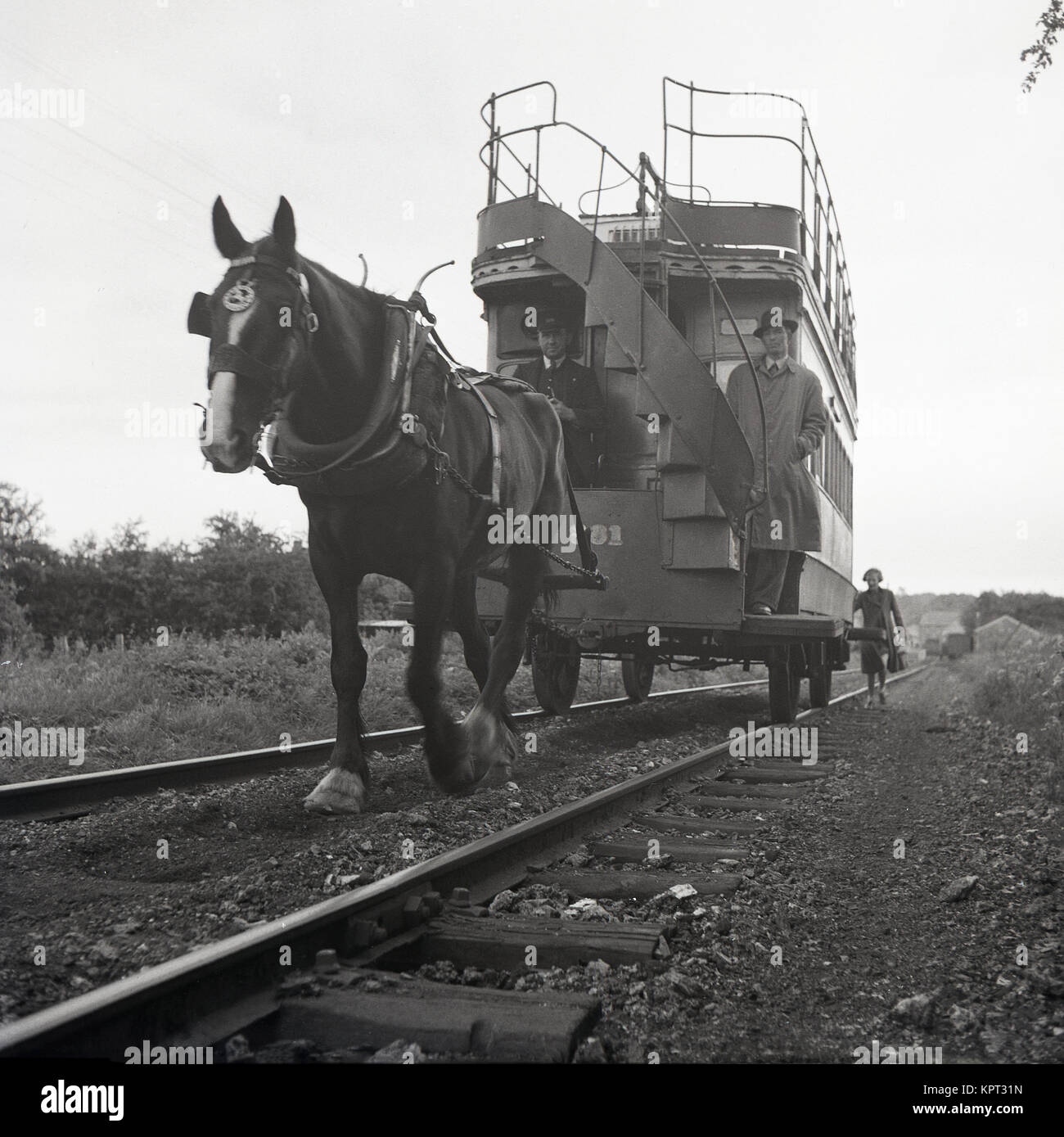 1950er Jahre, historische Bild zeigt einen Fahrer und einen männlichen Fahrgast Reiten an der Vorderseite des letzten Pferd - Straßenbahn, die in Nordirland gezeichnet. Eine Dame der Passagier ist zu Fuß hinter der Straßenbahn, in der Hoffnung, es zu. Stockfoto