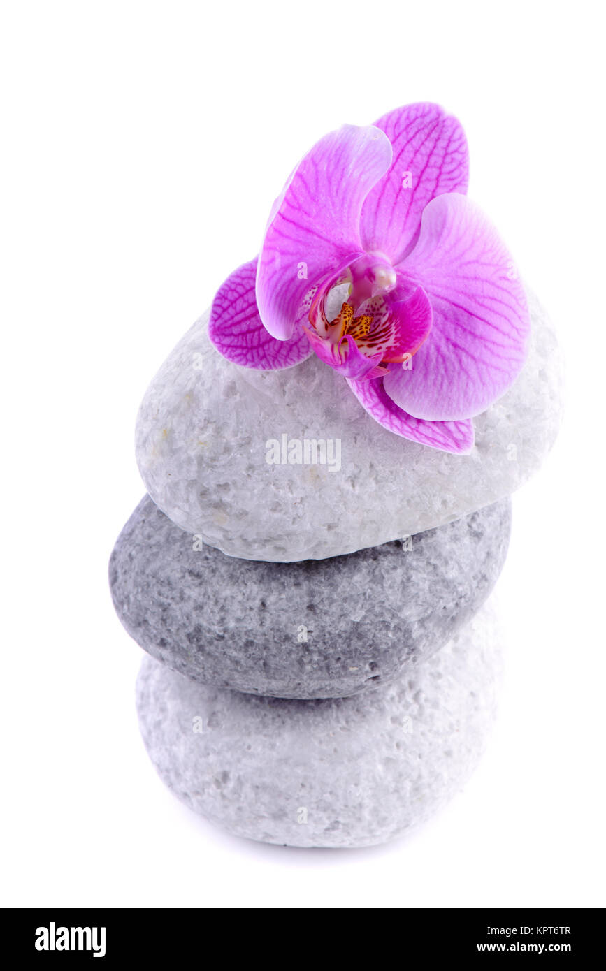 Stapel von Steinen Spa mit Blume Stockfoto