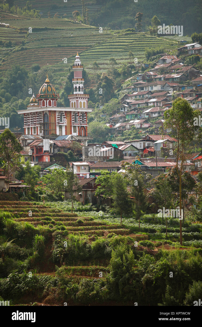 Terrasse Felder auf der Piste, Suren Gede, Dieng-Plateau, Java, Indonesien Stockfoto