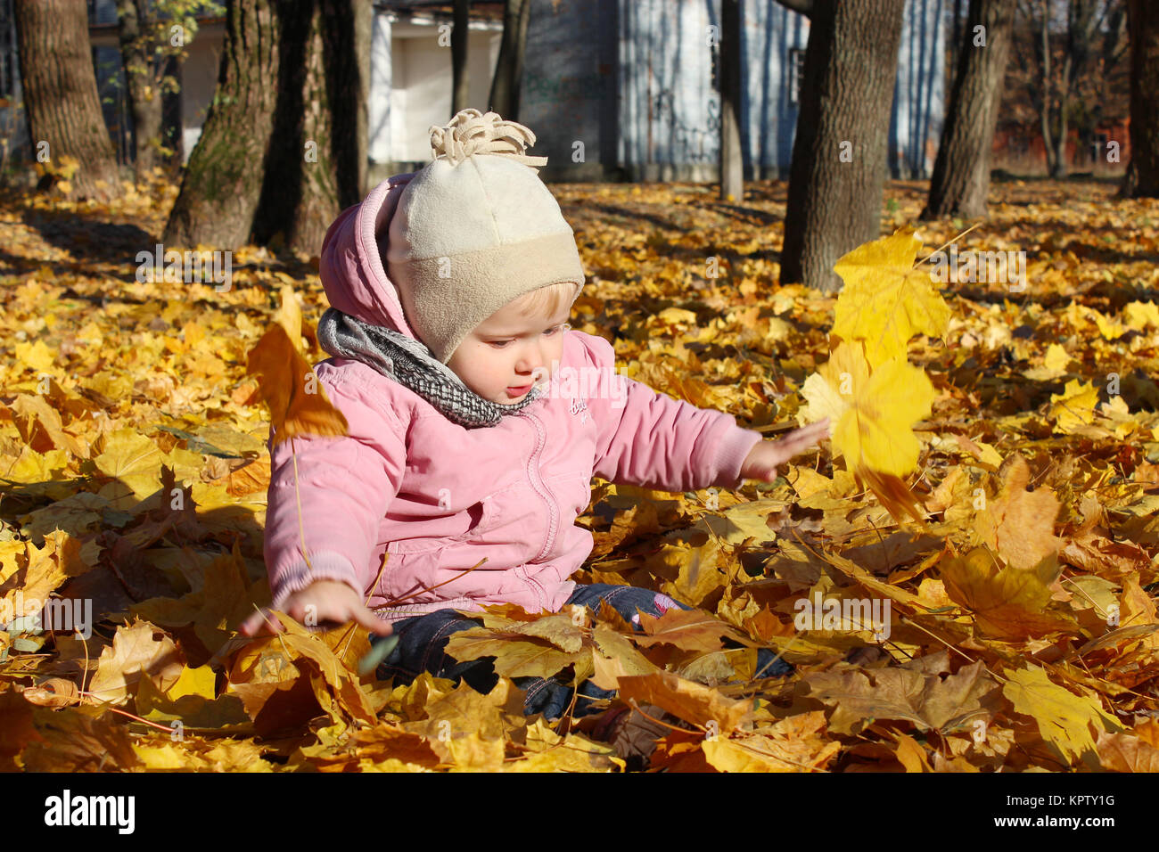 Baby spielt mit Blätter im Herbst im Park Stockfoto