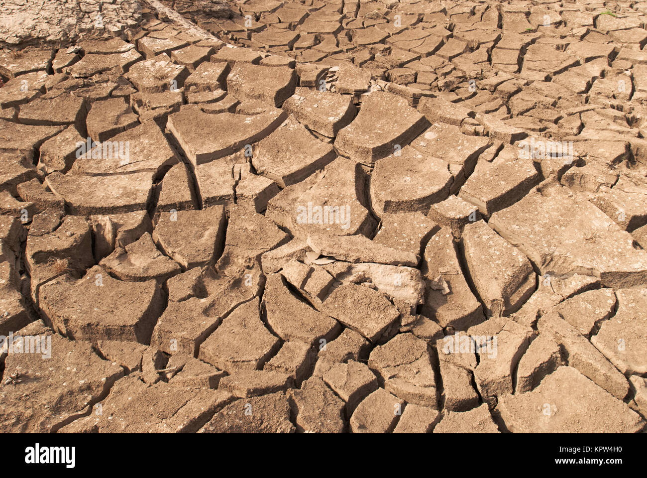 Rissige, trockene Land ohne Wasser Stockfoto