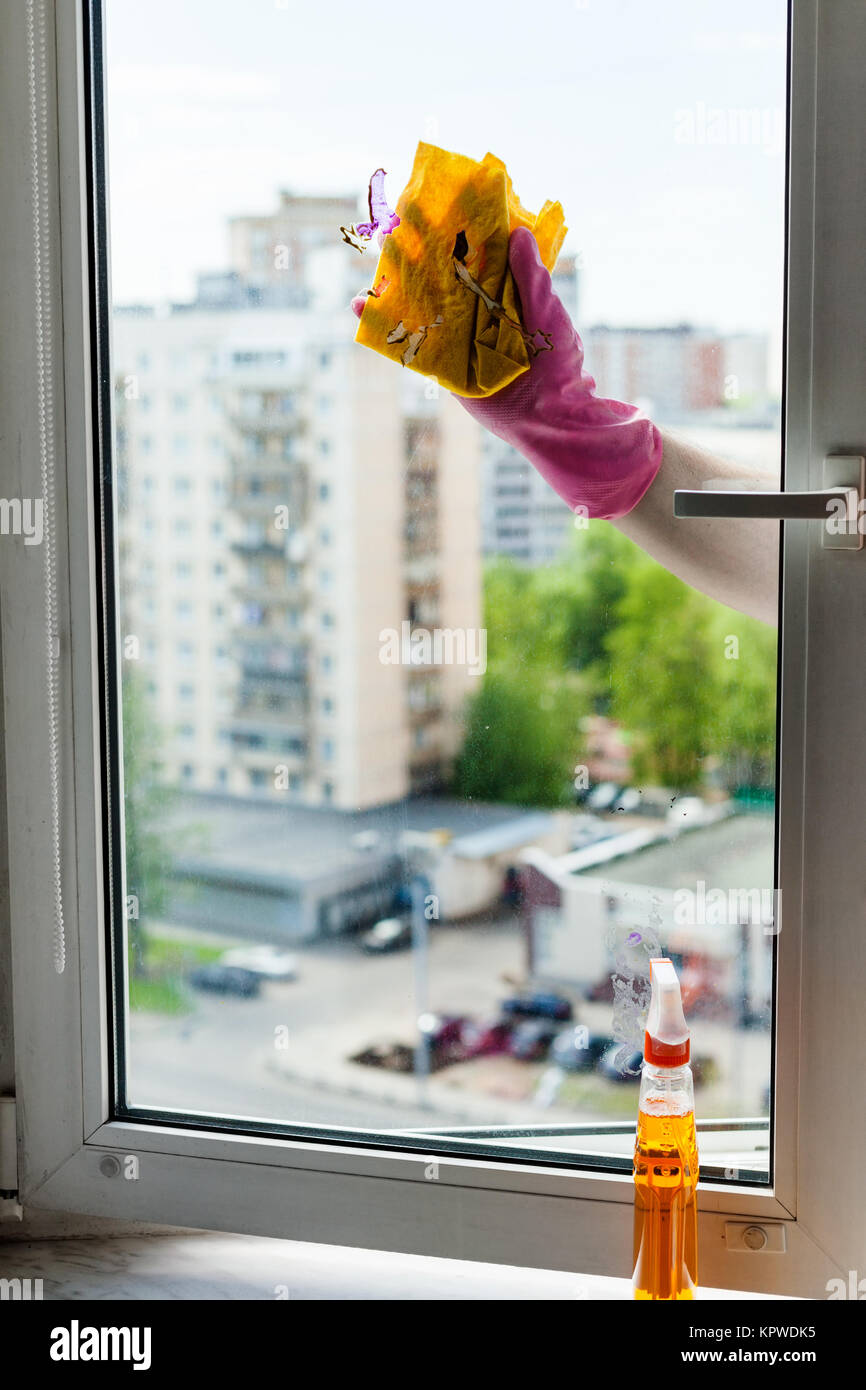 Cleaner reinigt Fenster durch die Rag in Wohnhaus Stockfoto