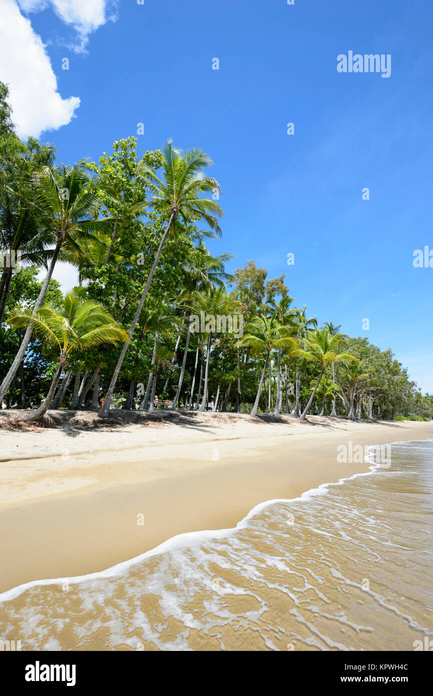 Von Palmen gesäumten Sandstrand von Clifton Beach, Cairns, Northern Beaches vorort Far North Queensland, FNQ, QLD, Australien Stockfoto