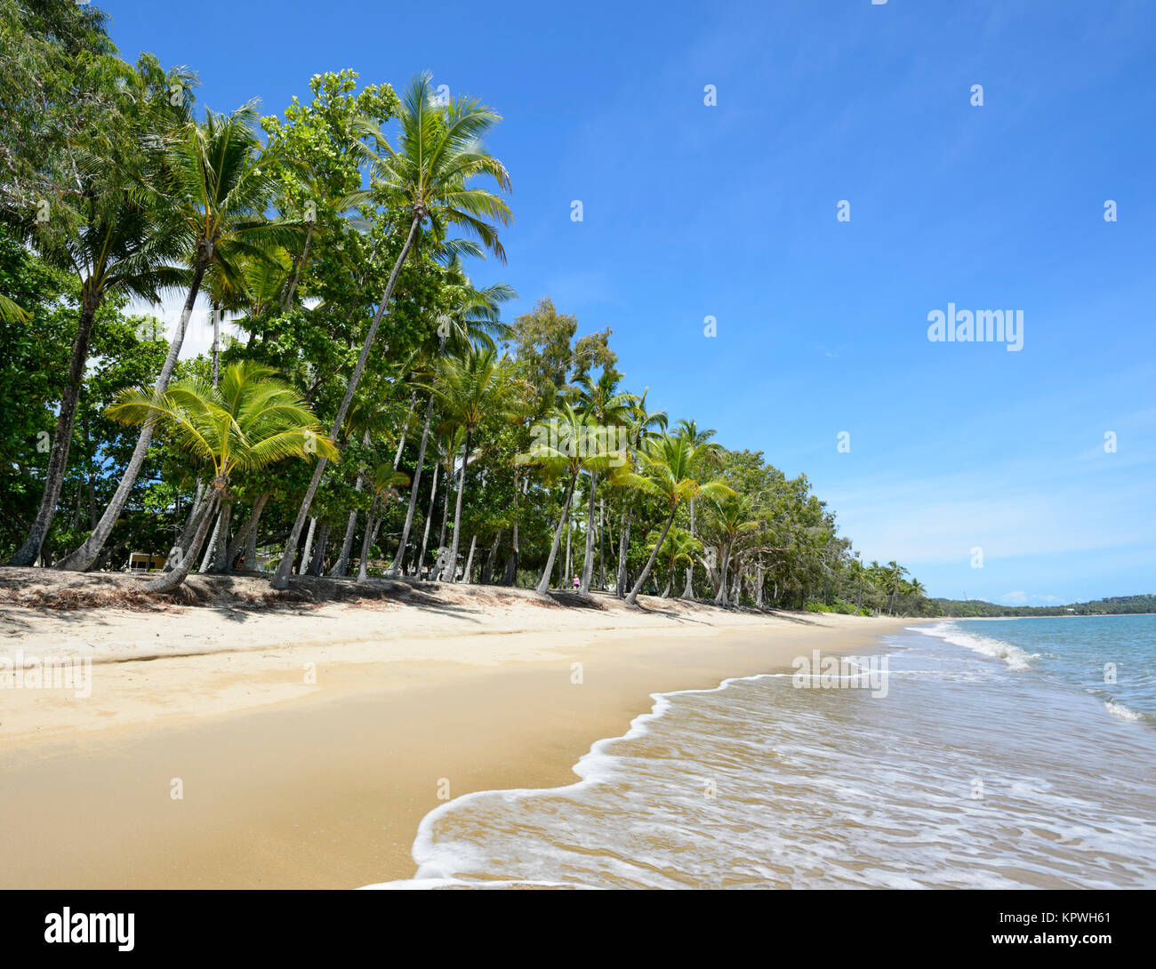 Von Palmen gesäumten Sandstrand von Clifton Beach, Cairns, Northern Beaches vorort Far North Queensland, FNQ, QLD, Australien Stockfoto