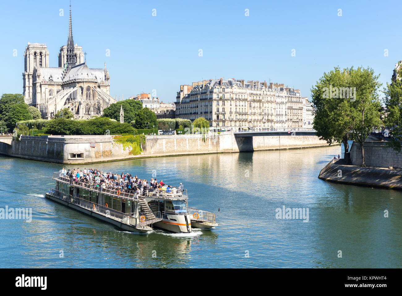 Kathedrale Notre Dame Paris mit Kreuzfahrt Stockfoto