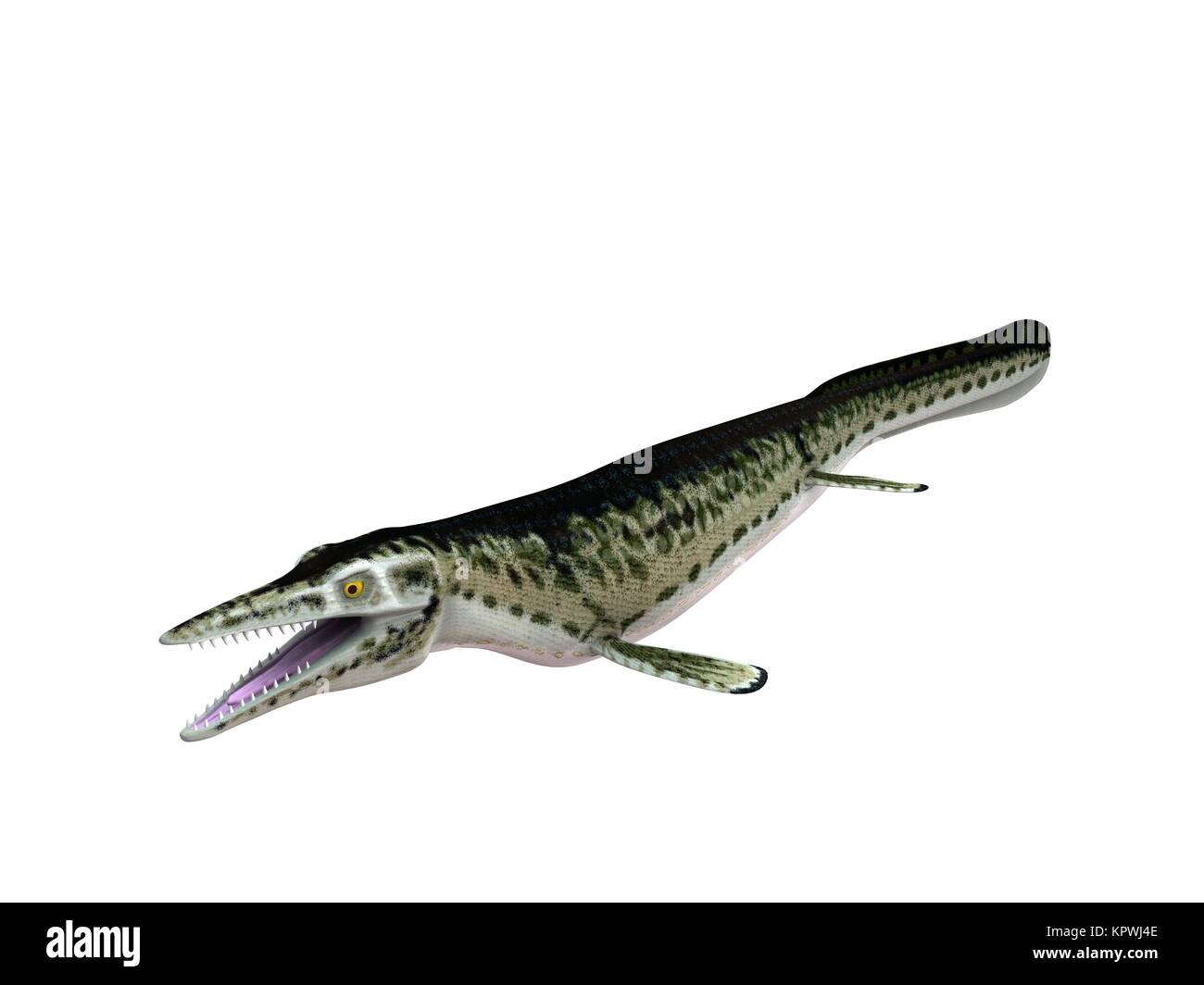 3D-Render von einem Krokodil in einem weißen Bühne Stockfoto