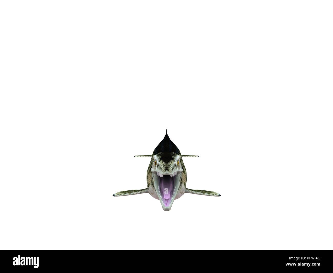 3D-Render von einem Krokodil in einem weißen Bühne Stockfoto