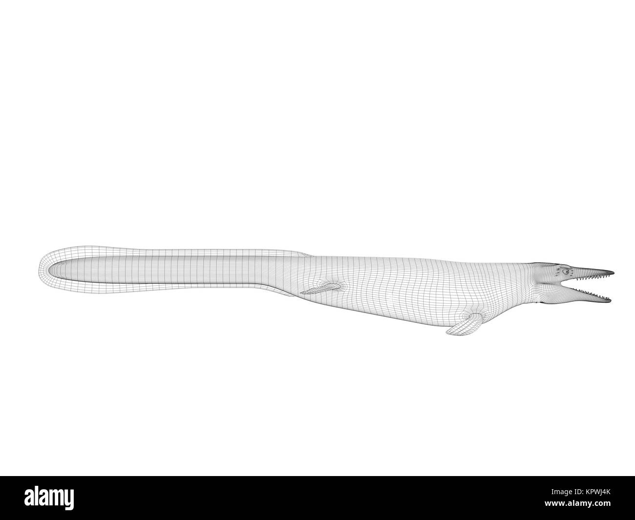 3D-Drahtmodell Krokodil Stockfoto