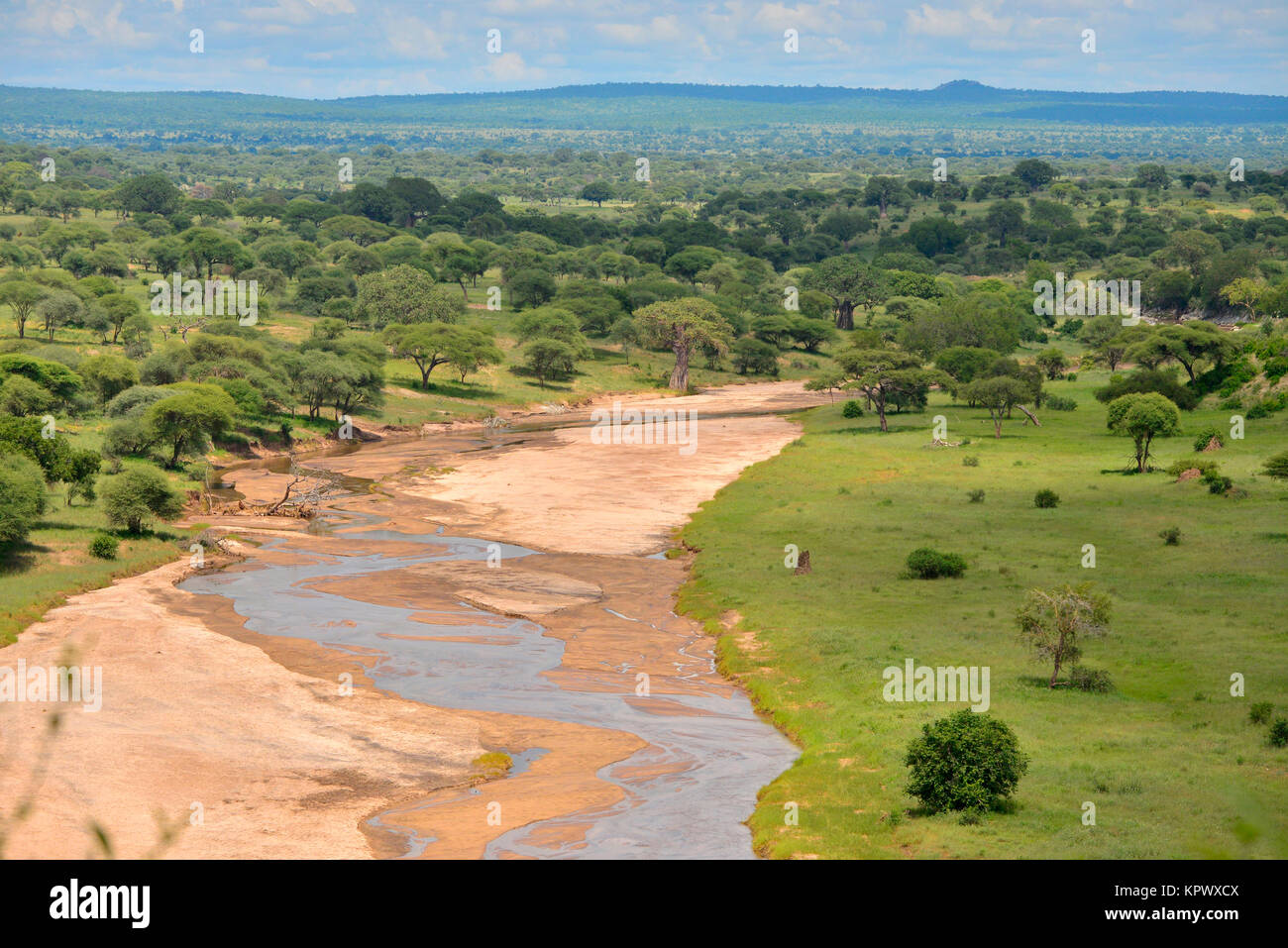 Der Tarangire National Park in Tansania ist berühmt für seine schönen Landschaften entlang der Tarangire River, wo viele Tiere, die in der trockenen Jahreszeit congretate. Stockfoto