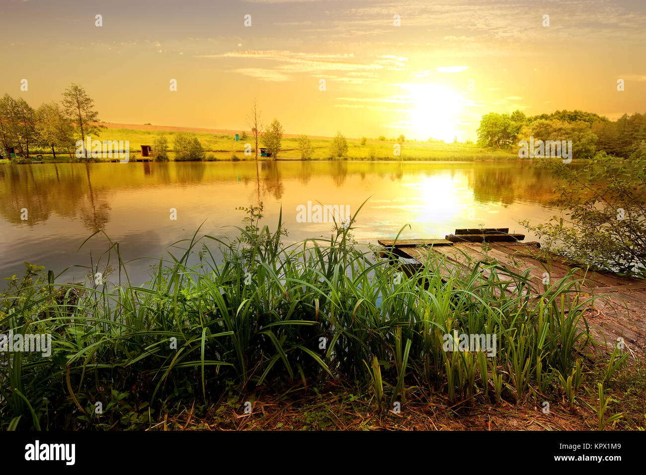 Gelber Sonnenuntergang am Teich Stockfoto