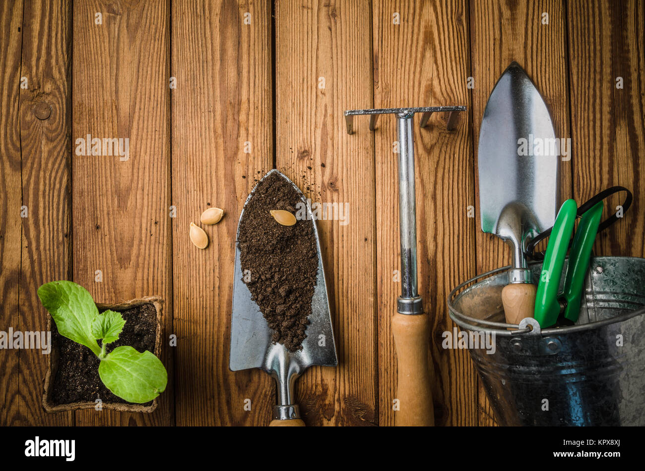 Stillleben mit Sprossen und Gartenwerkzeug, Draufsicht Stockfoto
