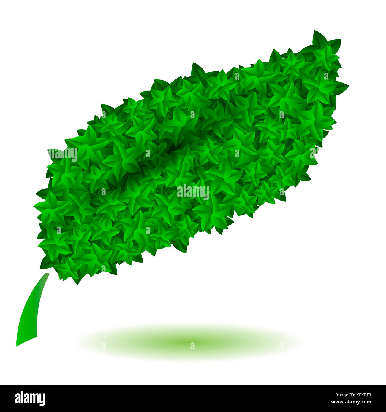 Grünes Blatt isoliert. Symbl der Natur Stockfoto