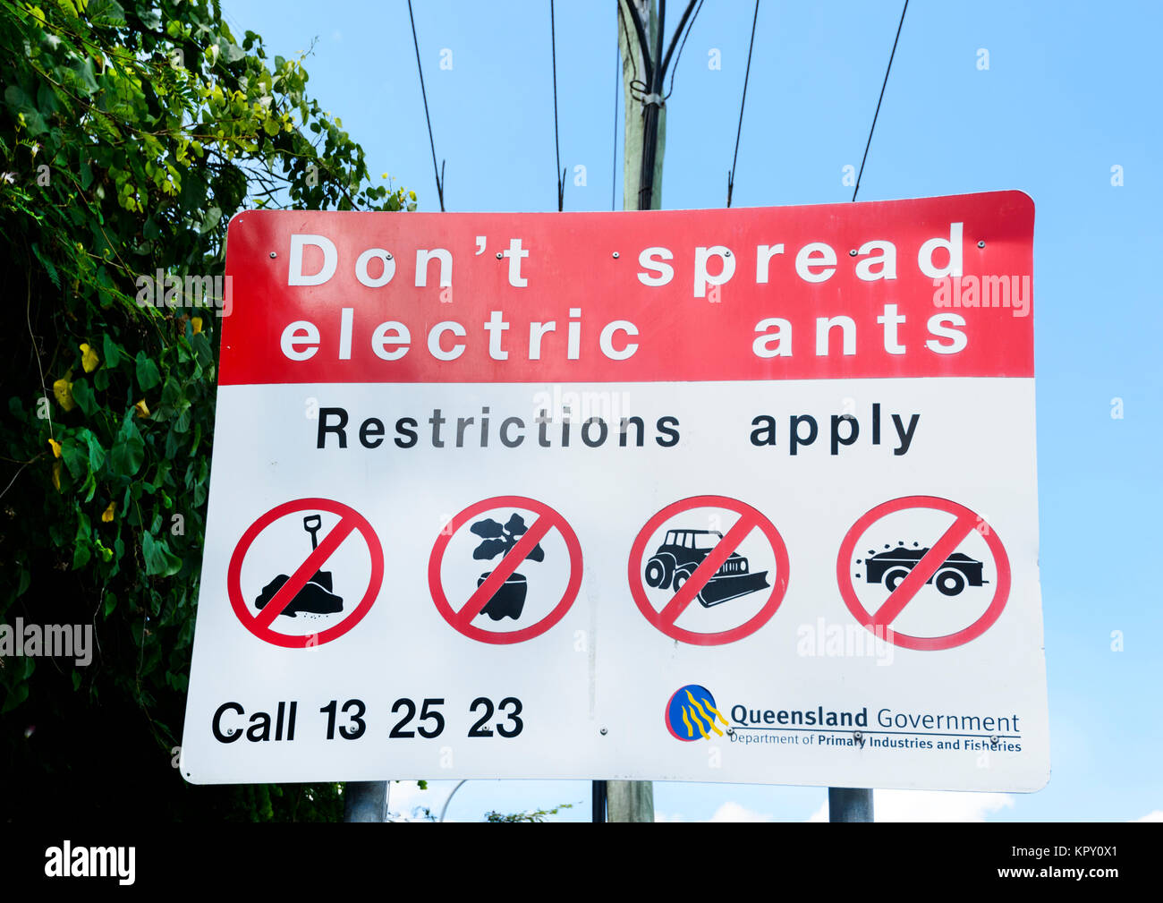 Schild am Straßenrand Warnung Nicht elektrische Ameisen, die eine eingeführte Arten aus Südamerika ausbreiten, Far North Queensland, FNQ, QLD, Australien Stockfoto