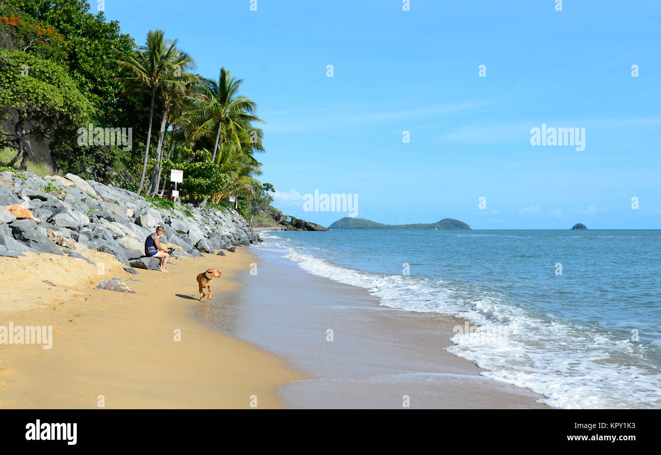 Frau zu ihrem Hund in Trinity Beach, einem beliebten Vorort der nördlichen Strände von Cairns, Far North Queensland, FNQ, QLD, Australien Stockfoto