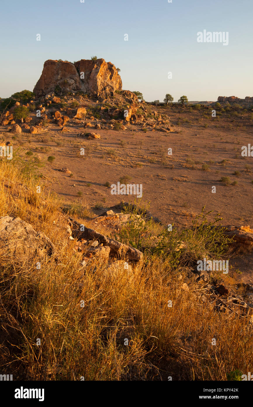 Eine Ansicht von Mapungubwe Hill in der Mapungubwe National Park, Südafrika. Mapungubwe ist als Weltkulturerbe klassifiziert. Stockfoto