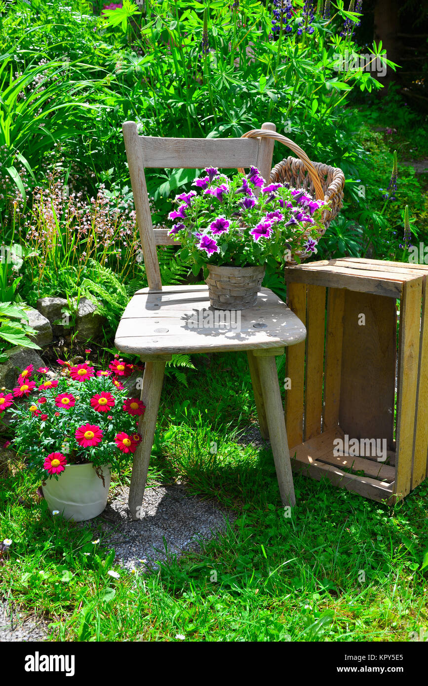 Alter Stuhl im Garten mit Blumen im Frühling Stockfotografie