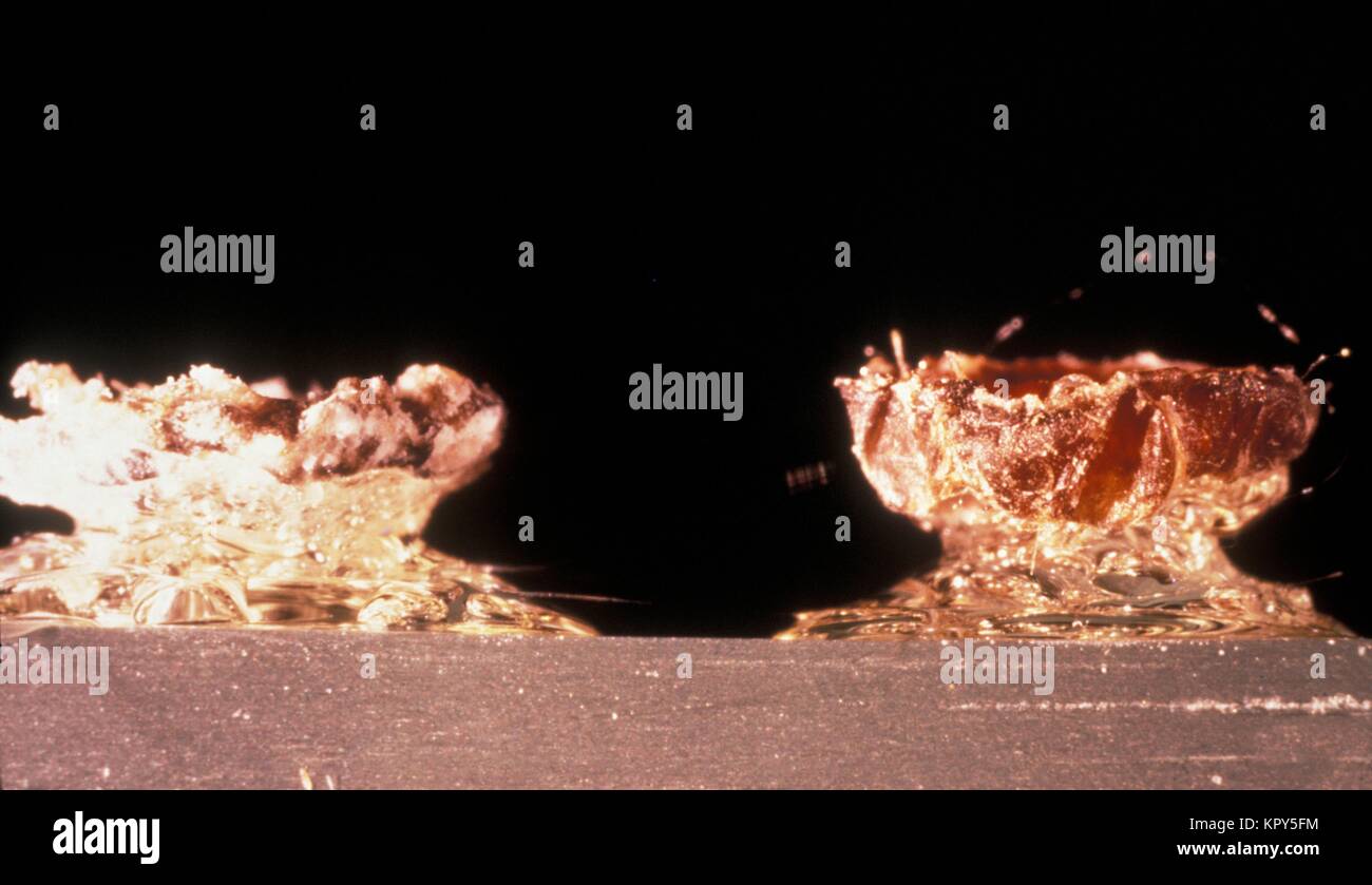 Ein windpocken Schorf (links) und Pocken Schorf (rechts), beide im Profil betrachtet, dienen als Demonstration der vergleichenden Morphologie, 1977 gegenübergestellt. Stockfoto