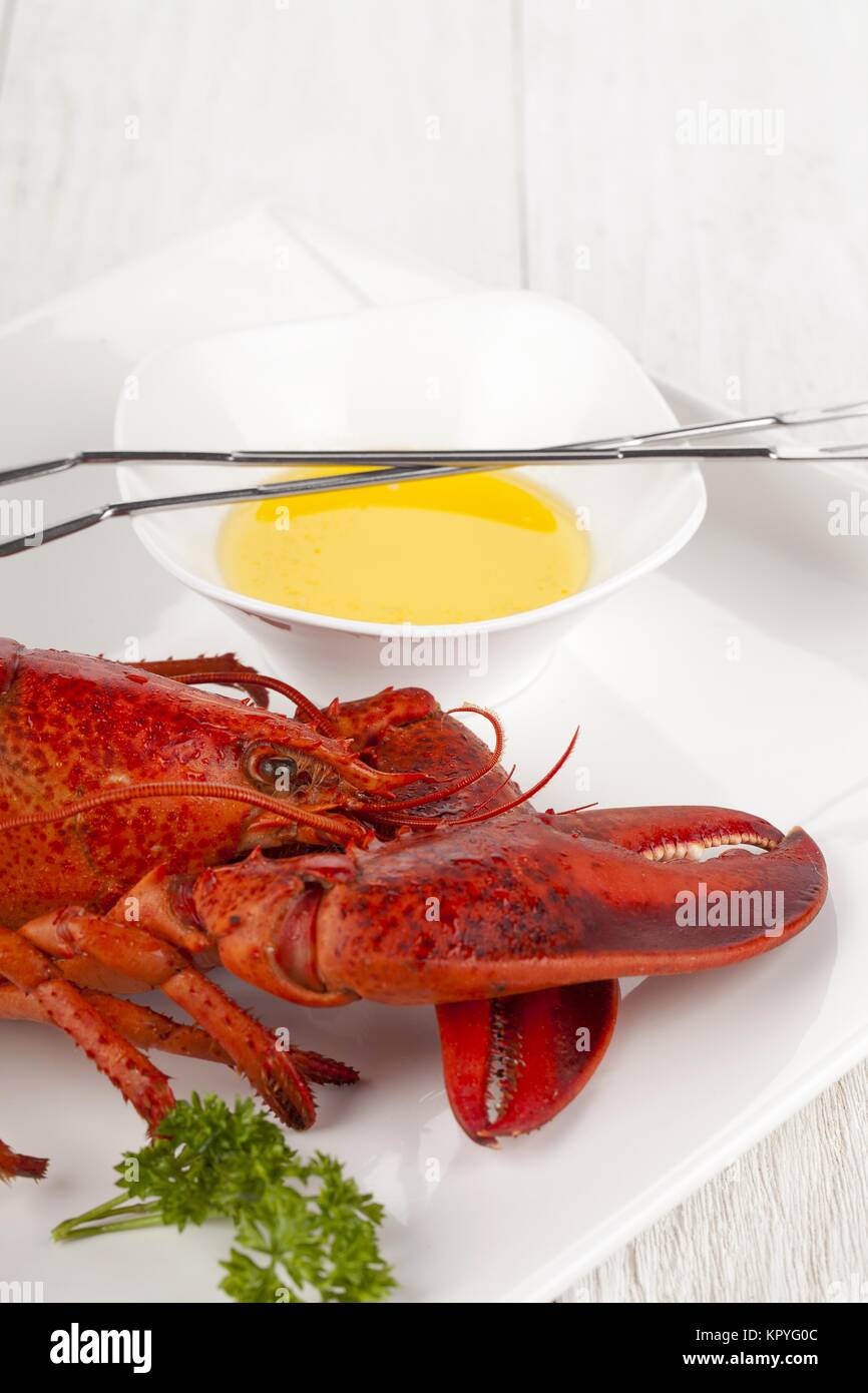 Lobster dish mit Dip Stockfoto