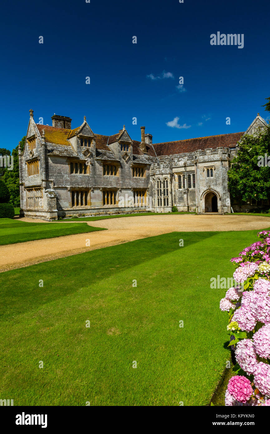 Blühende Hortensien vor Athelhampton House, Puddletown, Dorset, England, Großbritannien Stockfoto