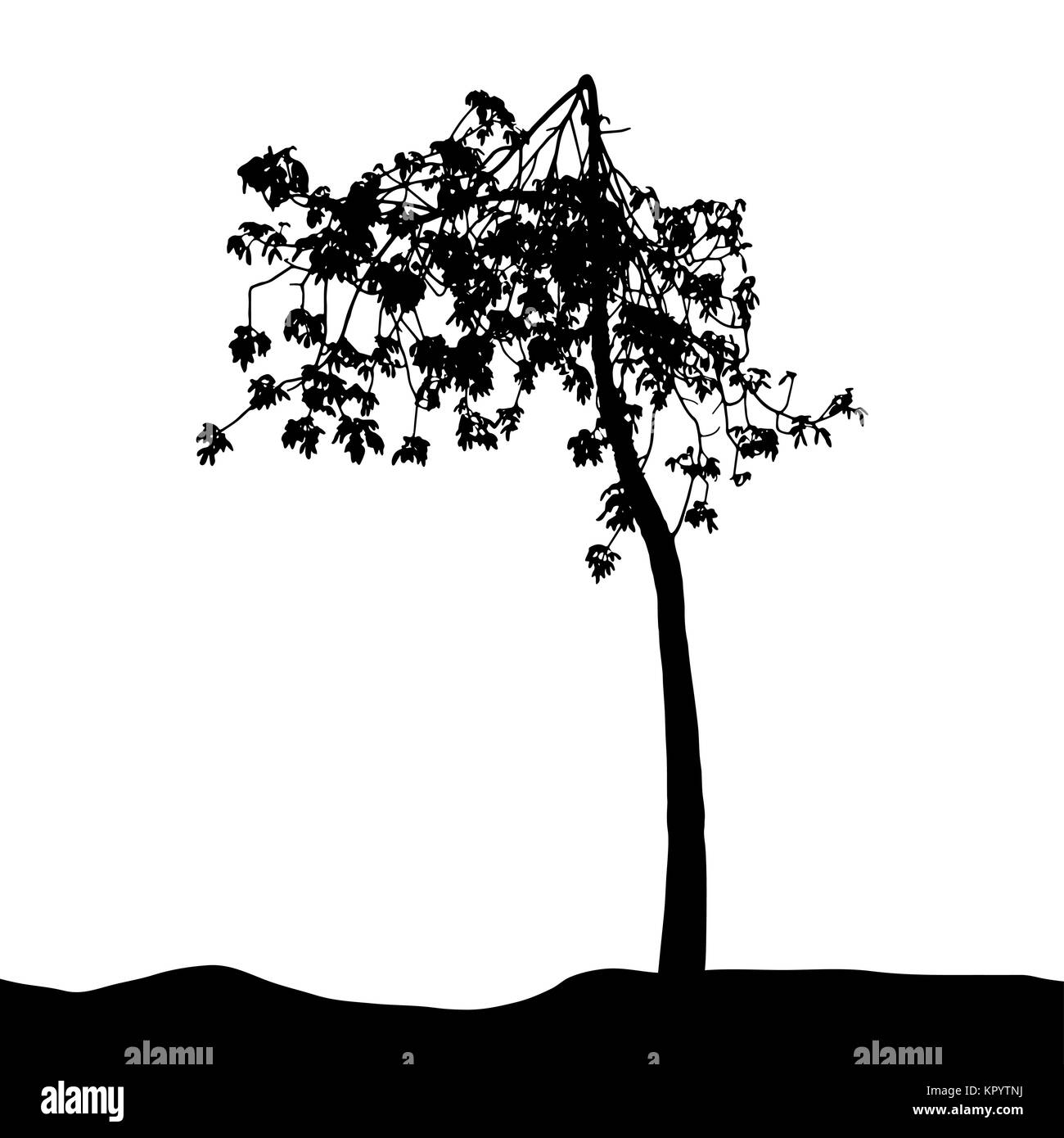 Baum-Silhouette isoliert auf weißem Migrationshintergrund. Vecrtor Illustrati Stock Vektor