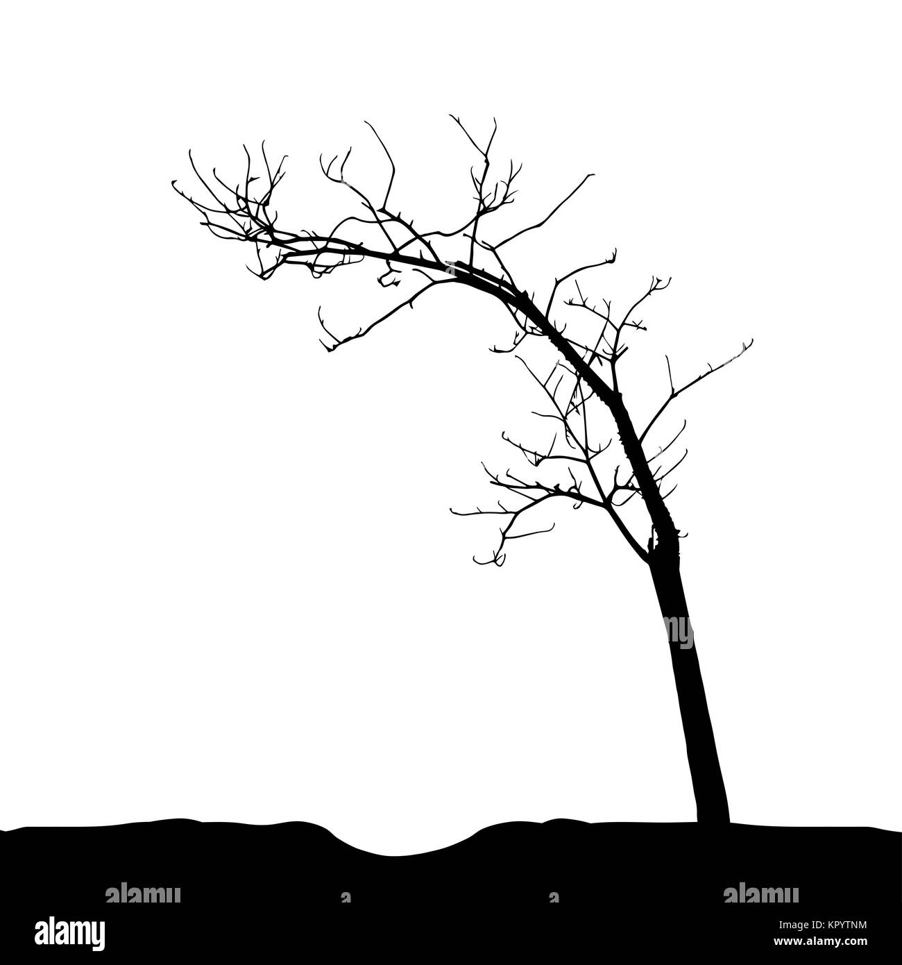 Baum-Silhouette isoliert auf weißem Migrationshintergrund. Vecrtor Illustrati Stock Vektor