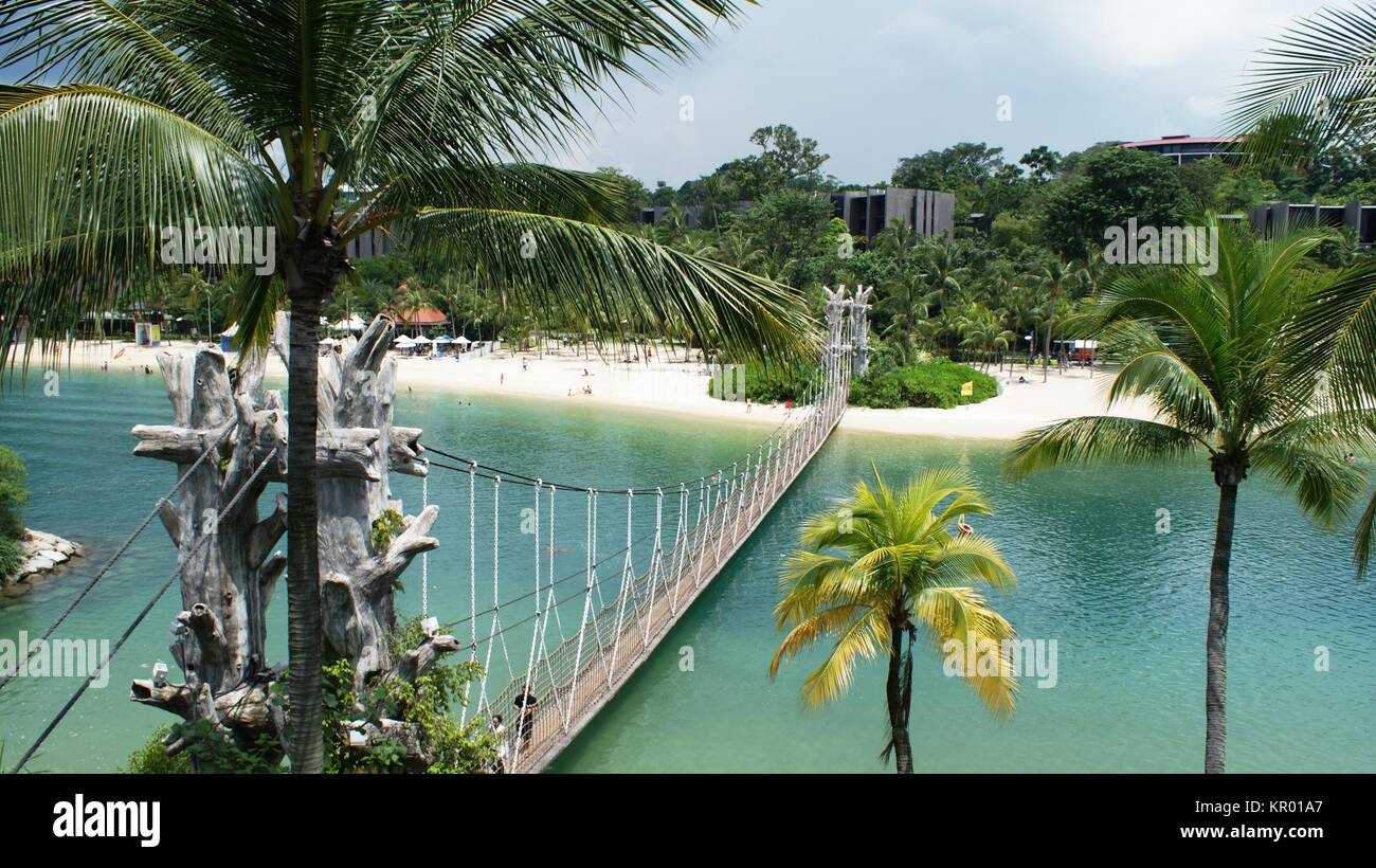 Schöne und klare Natur von Singapur Stockfoto