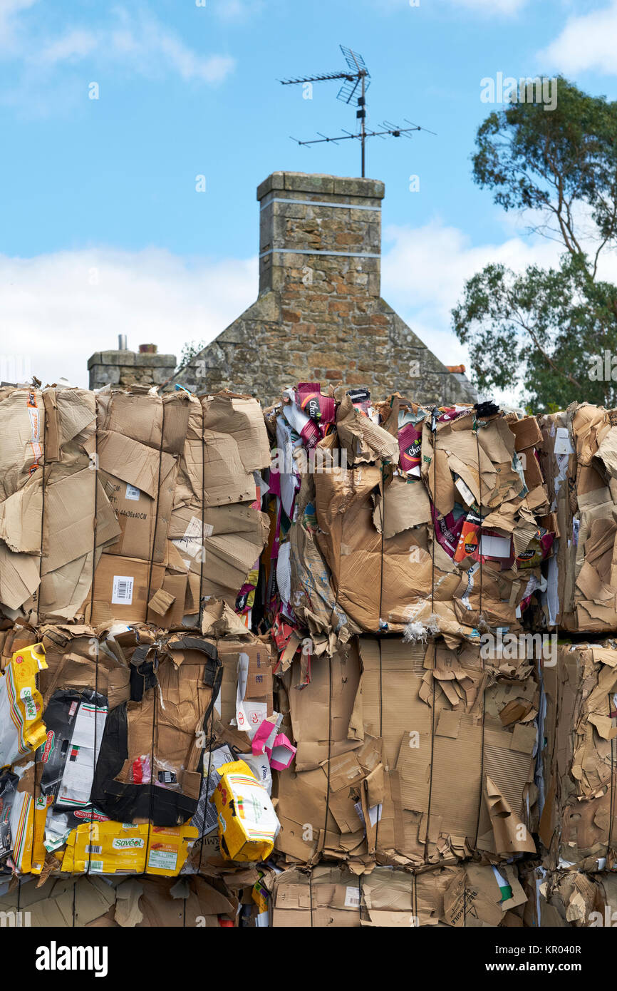 Verpackungen aus Haushalten Abfälle recycling Sammlung Stockfoto