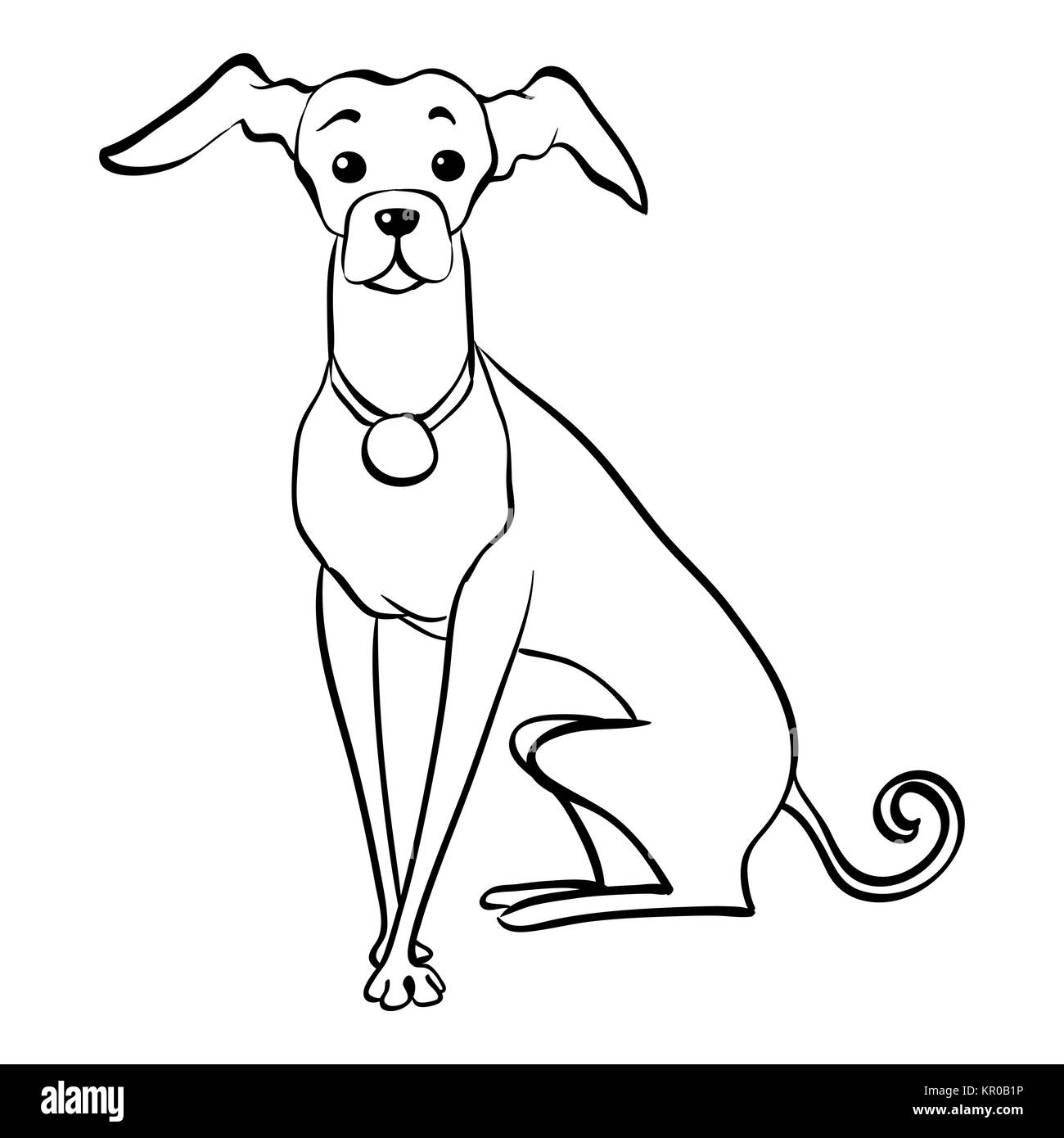 Vector Skizze lustige italienisches Windspiel Hundesitting Stockfoto