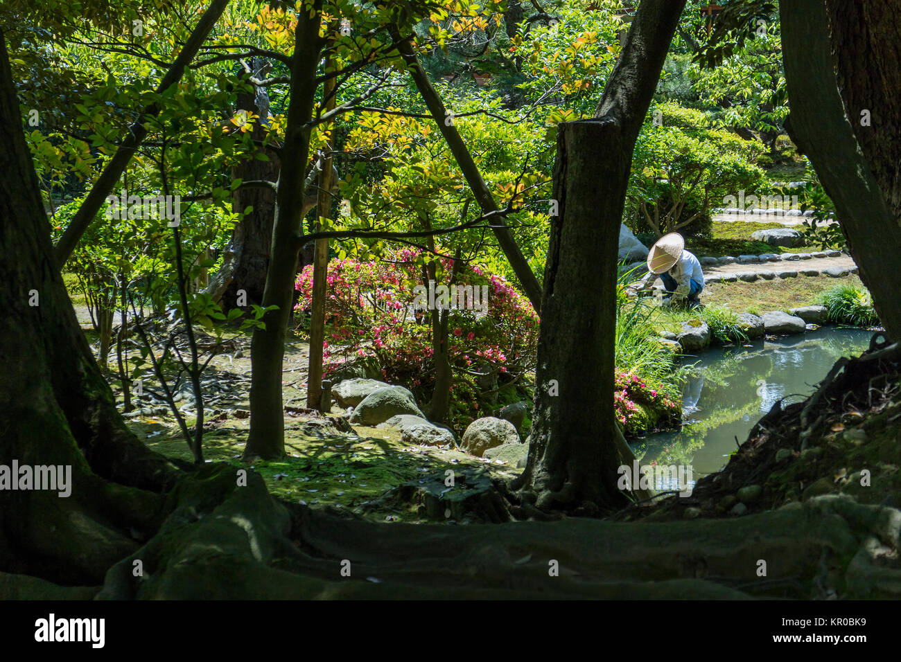 Kanazawa, Japan, 9. Juni 2017: Gärtner im Garten an Gyokuseninmaru Kanasawa schloss Arbeiten im Frühling Stockfoto