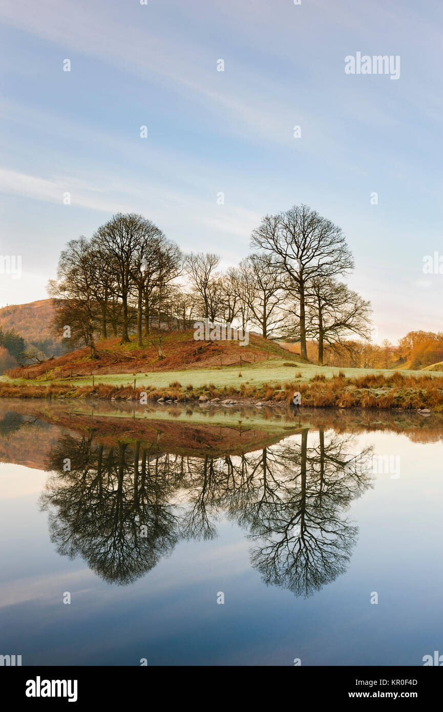 Ruhigen See umgeben von Bäumen Stockfoto