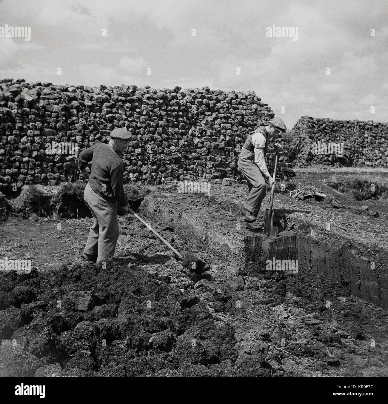 1950, historische, Irland und zwei Männer in flachen Kappen über speziell entwickelte Schaufeln oder 'Torf Schneider' - eine Seite, die mehr als die anderen - bis auf die organische Natur der verfallenen Vegetation oder Torf, die häufig für den Winter Kraftstoff in ländlichen Gebieten benutzt wird, dig. Die hohe 'Wand' hinter der Männer ist nicht eine Mauer aus Stein, aber in der Tat Klumpen von Torf übereinander trocknen zu lassen. Stockfoto