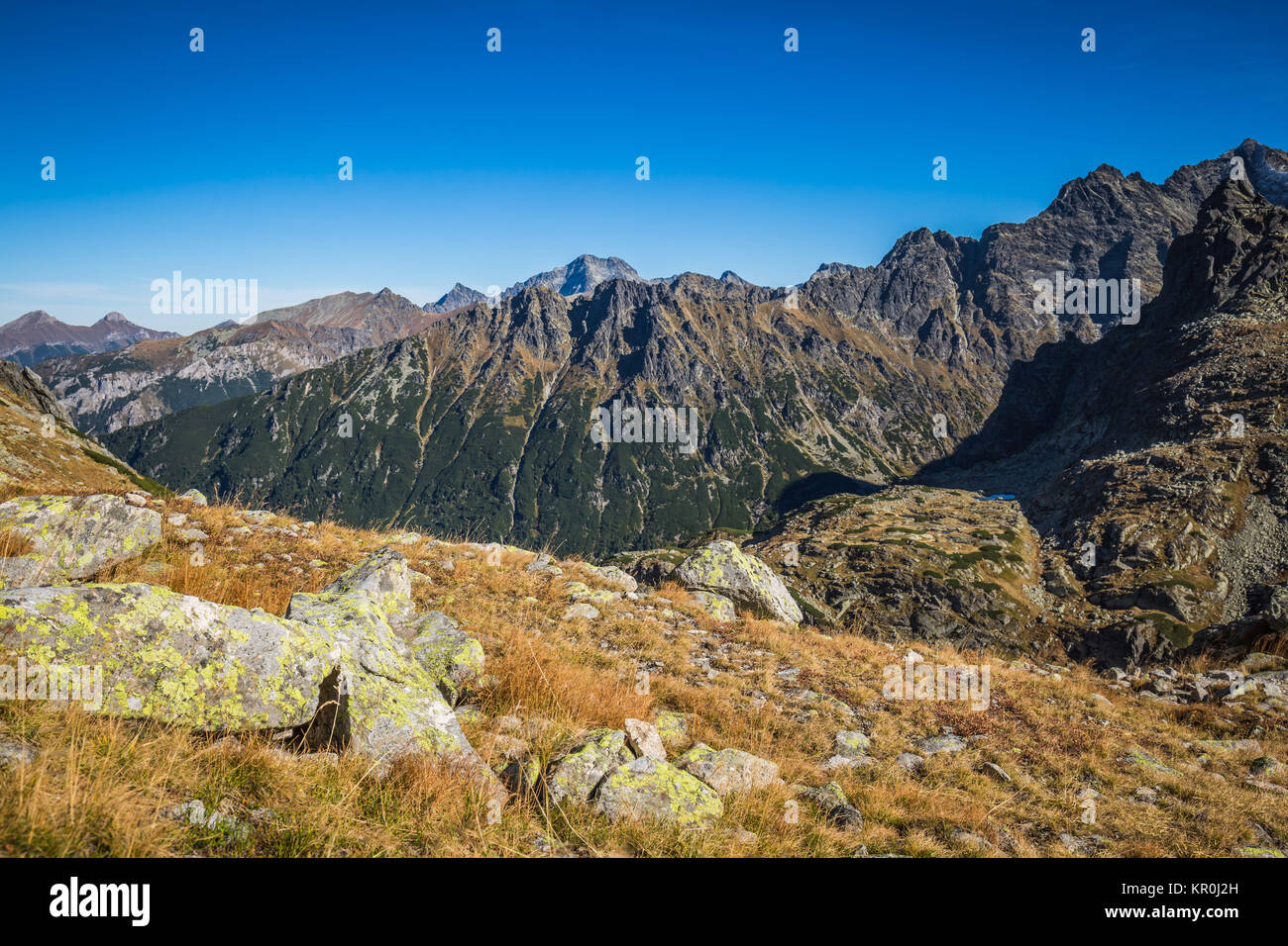Beaitiful Bergsee im Sommer, Tal der fünf Seen, Polen, Zakopane Stockfoto