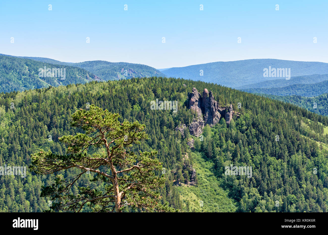 Felsmassiv Jermak. Mischwald in der Nähe von Felsen. Naturschutzgebiet Stolby (Säulen). Region Krasnojarsk. Russland Stockfoto