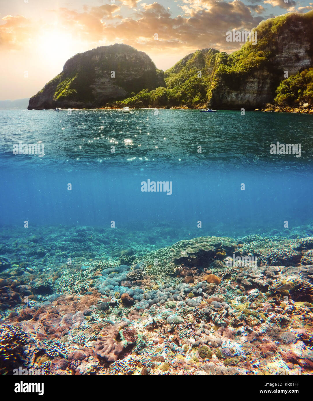 Unterwasser- und Oberfläche der geteilten Ansicht in den Tropen Stockfoto