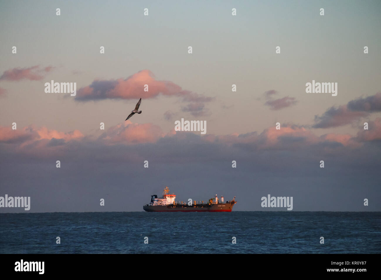 Schiff und Vogel Walmer Twilight Stockfoto