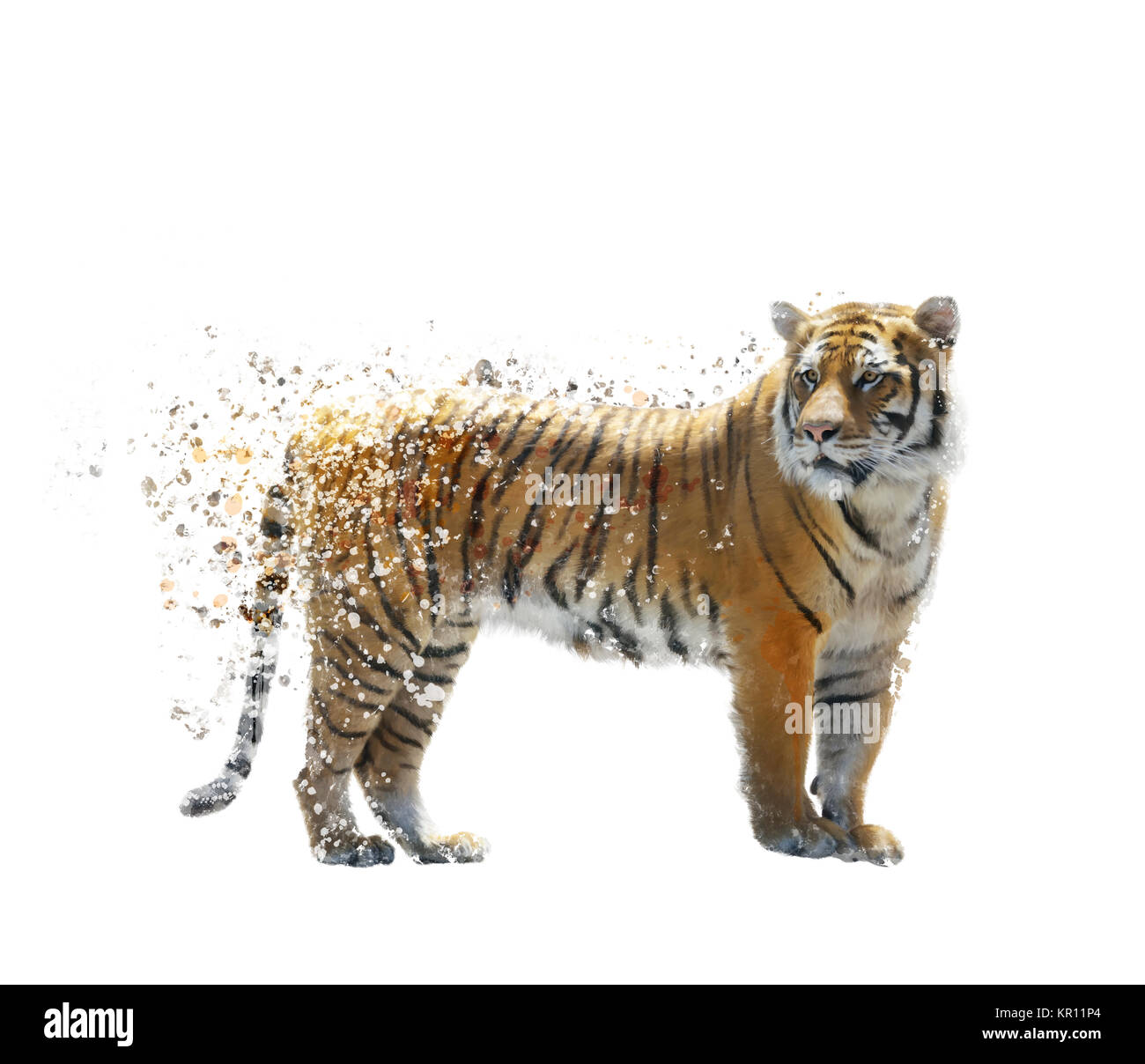 Tiger-Aquarell Stockfoto