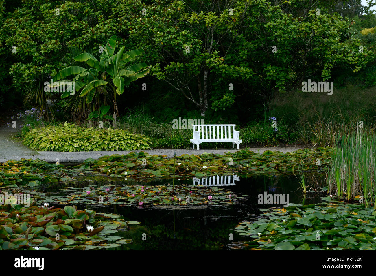 Weiß, Garten Bank, Seat, Sitzgelegenheiten, Teich, Pool, pondside, Pool, Mount Congreve Gärten, Waterford, Irland, RM Floral Stockfoto