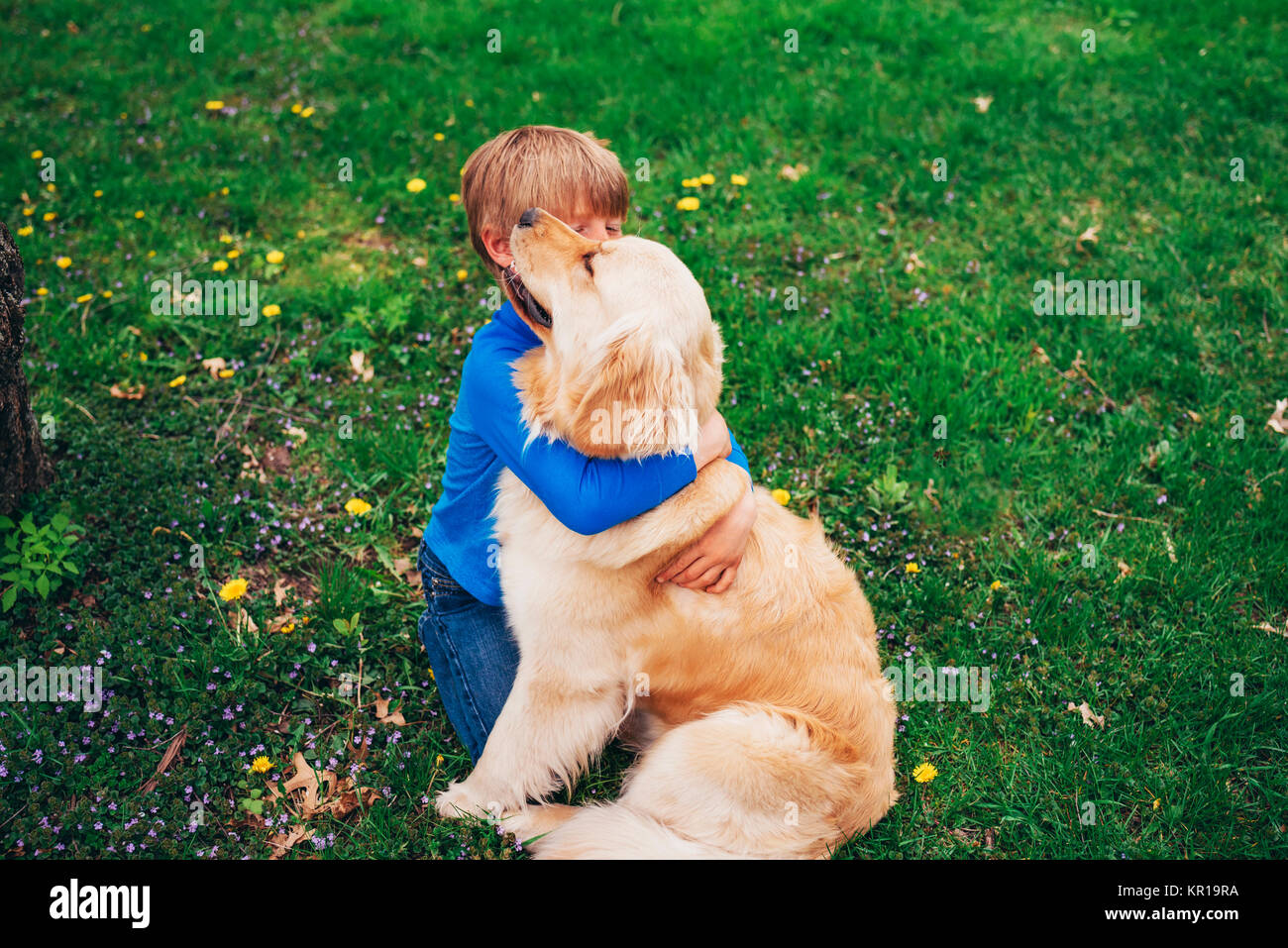 Junge sitzt im Garten umarmen ein Golden Retriever Hund Stockfoto