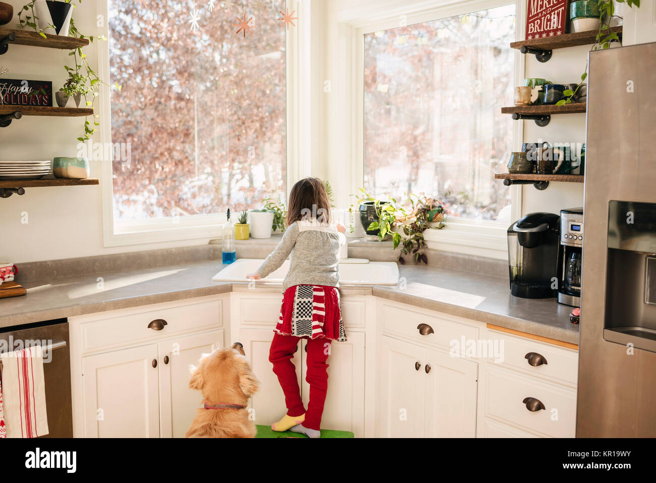 Golden Retriever Hund suchen zu einem Mädchen, das Waschen der Gerichte Stockfoto