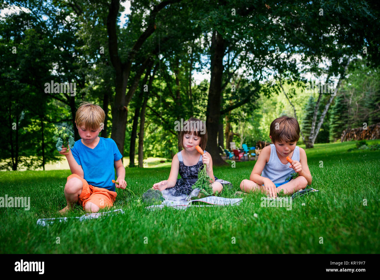 Drei Kinder sitzen in einem Garten Bücher lesen und das Essen von frischem Gemüse Stockfoto