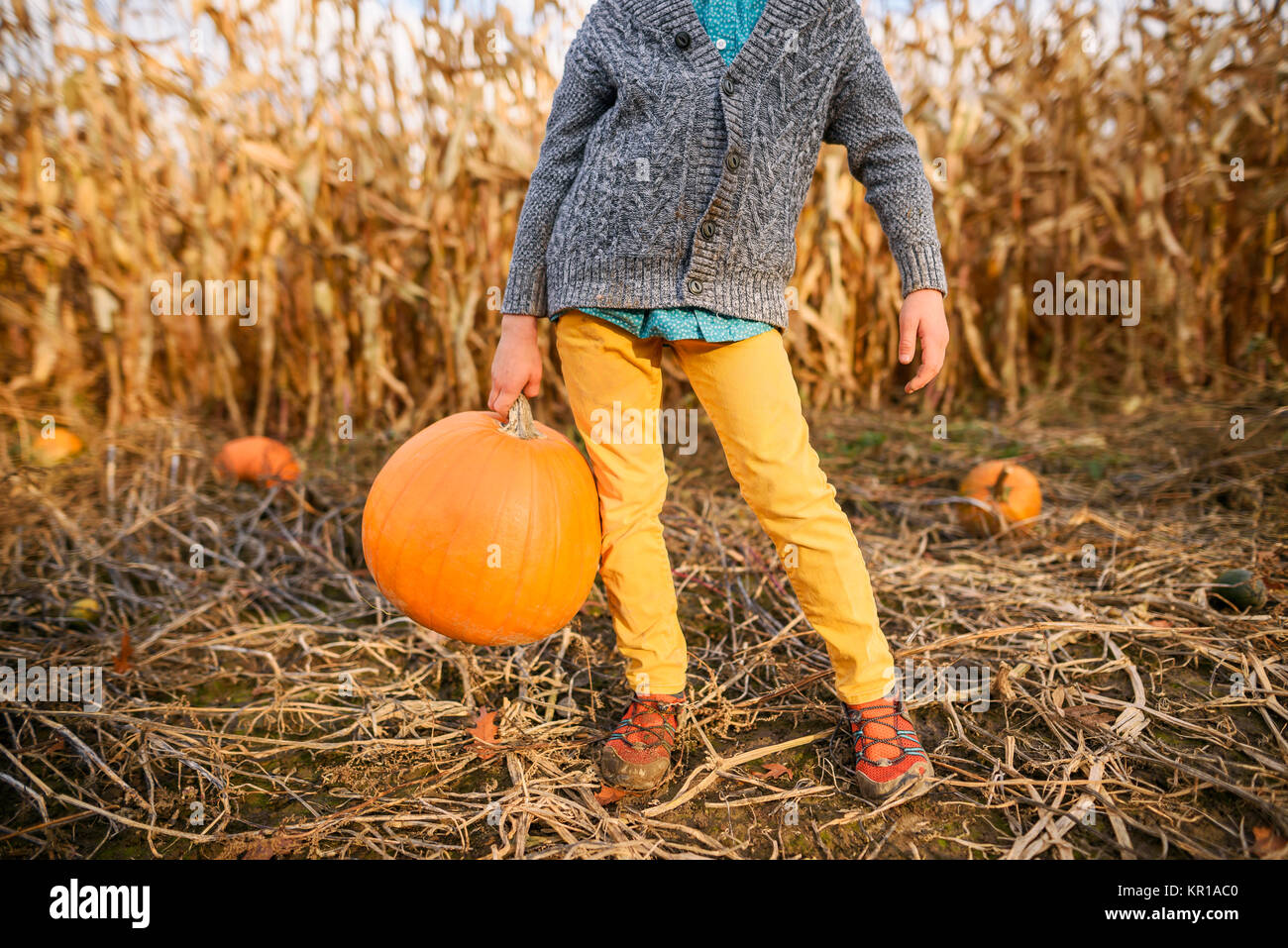 Junge mit Kürbis in einem Pumpkin Patch. Stockfoto