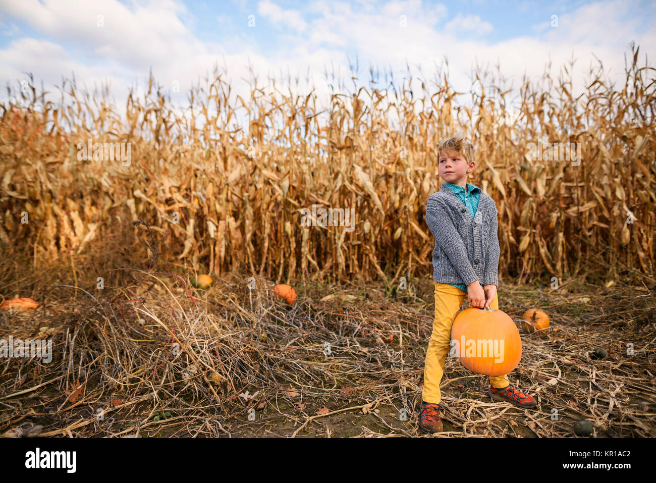 Junge mit Kürbis in einem Pumpkin Patch. Stockfoto