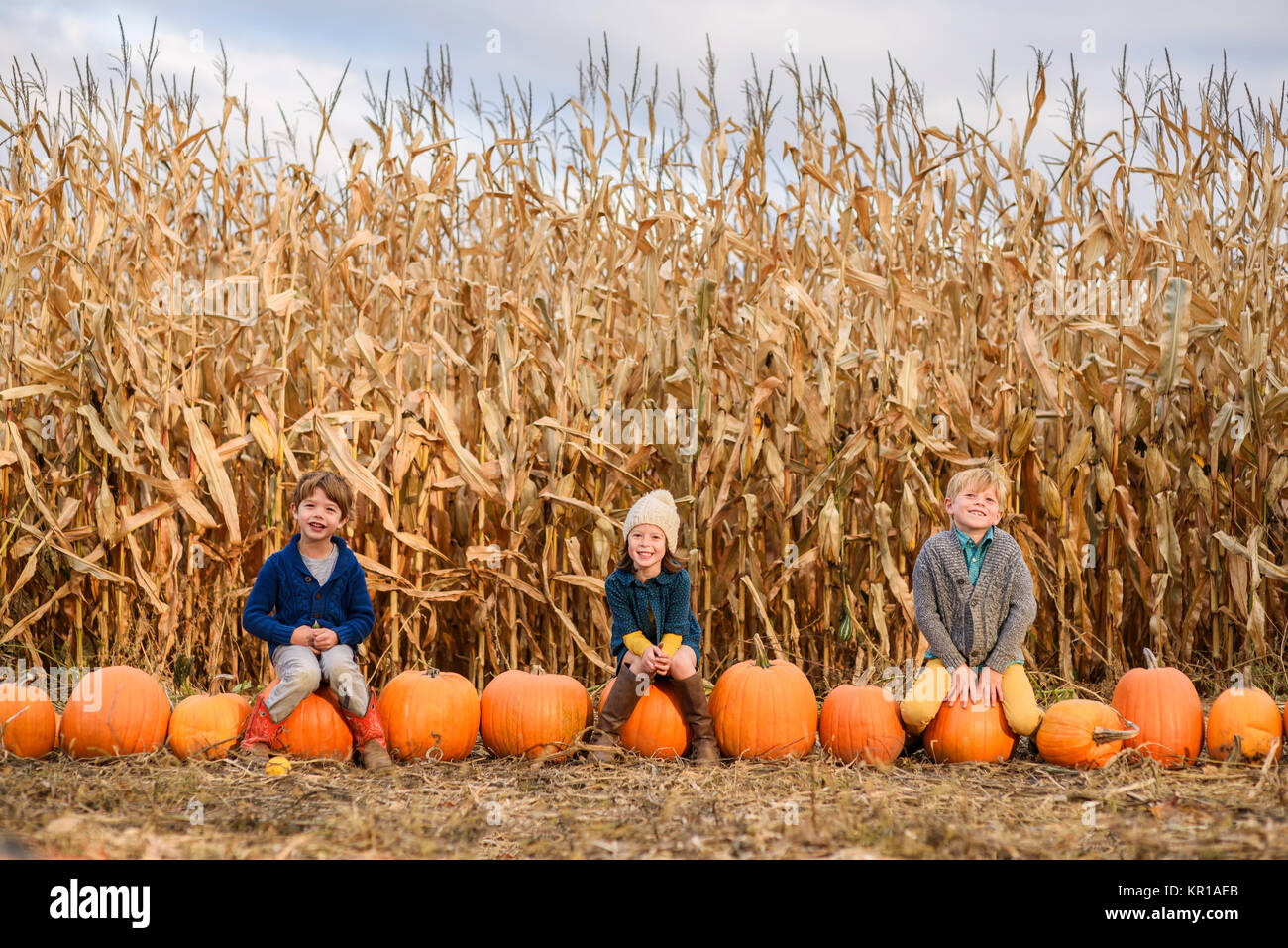Drei Kinder sitzen auf Kürbisse in einem Pumpkin Patch. Stockfoto