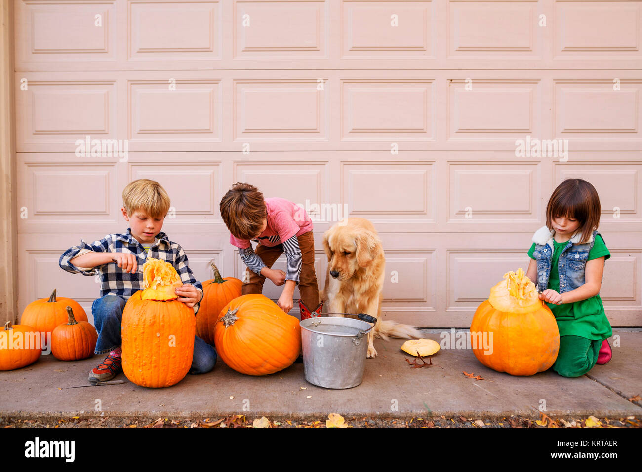 Drei Kinder und Ihr Hund schnitzen Halloween Kürbisse Stockfoto