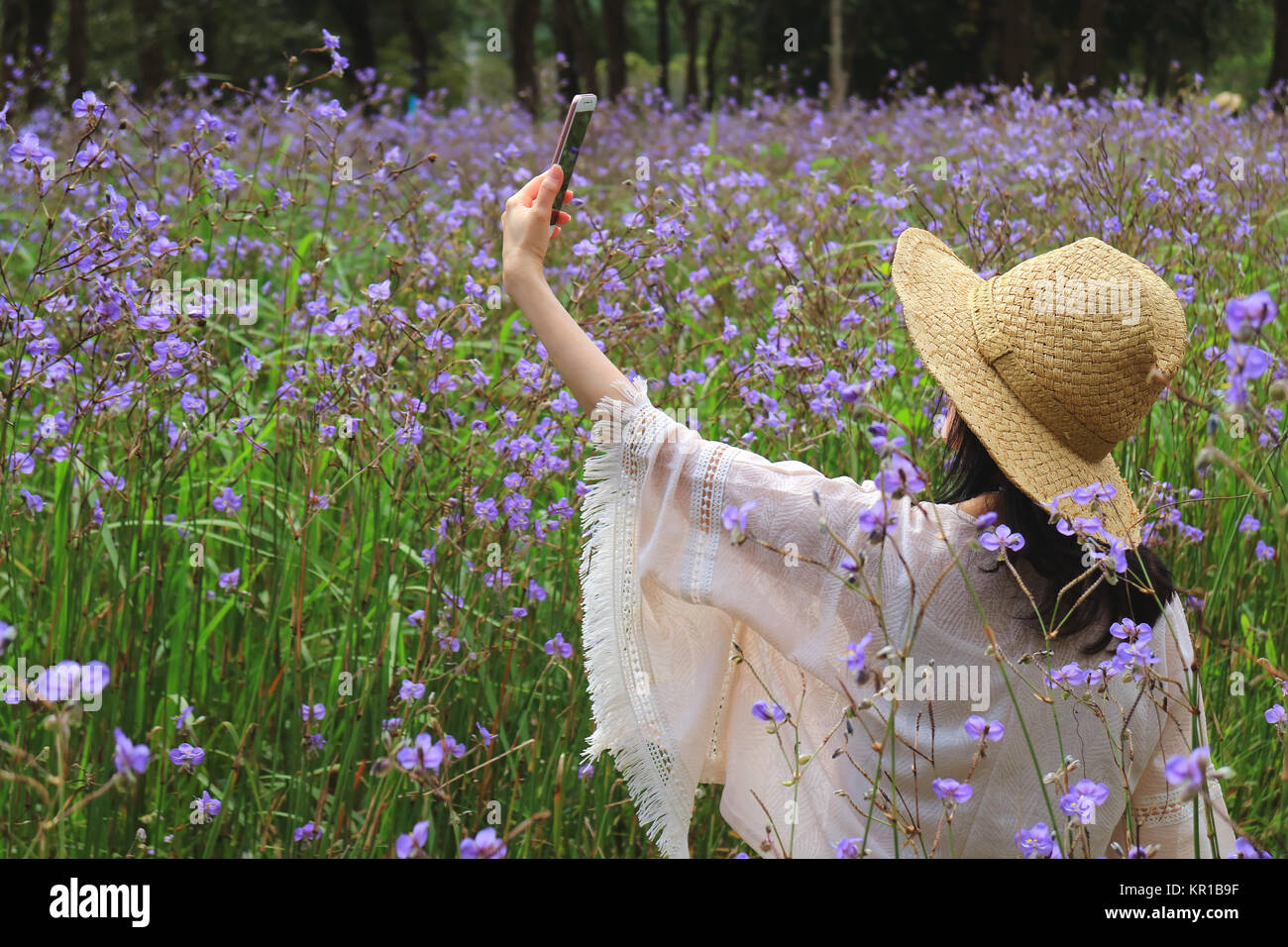 Eine Frau, die selfie Bild im Murdannia Blume Bereich mit Ihrem Smart Phone Stockfoto