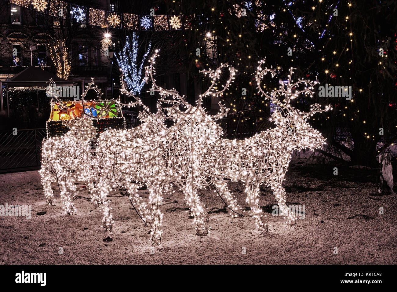 Weihnachten Dekorationen und Weihnachten Rentier und Schlitten Lichter in der Nacht auf dem George Square, Glasgow, Schottland. Stockfoto