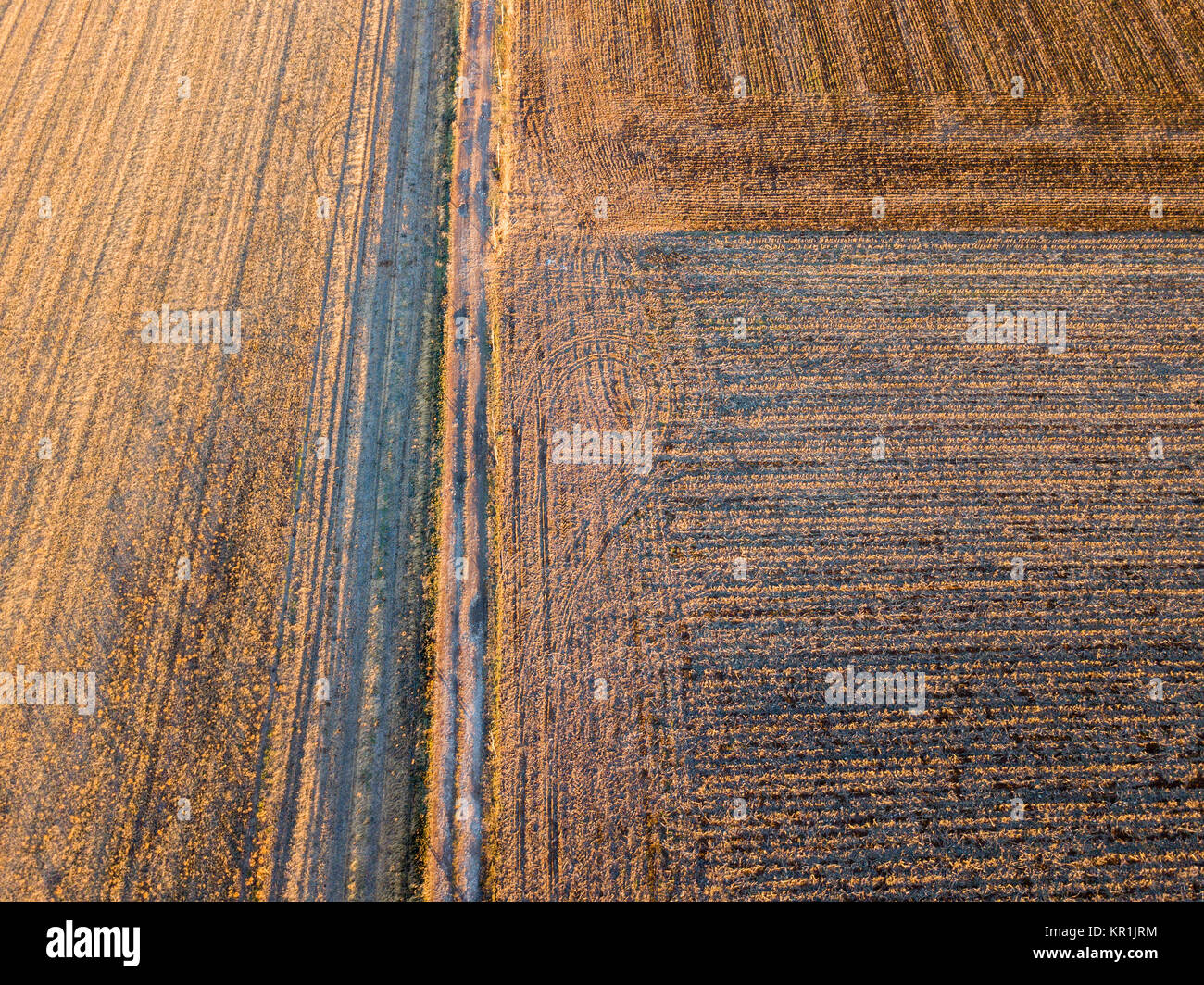 Natur und Landschaft: Luftaufnahme von einem Feld, Anbau, gepflügtes Feld, Landschaft, Landwirtschaft Stockfoto