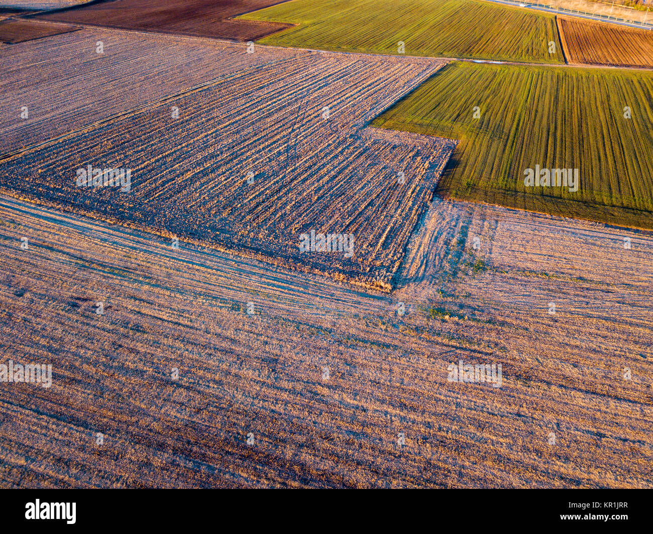 Natur und Landschaft: Luftaufnahme von einem Feld, Anbau, gepflügtes Feld, Landschaft, Landwirtschaft Stockfoto
