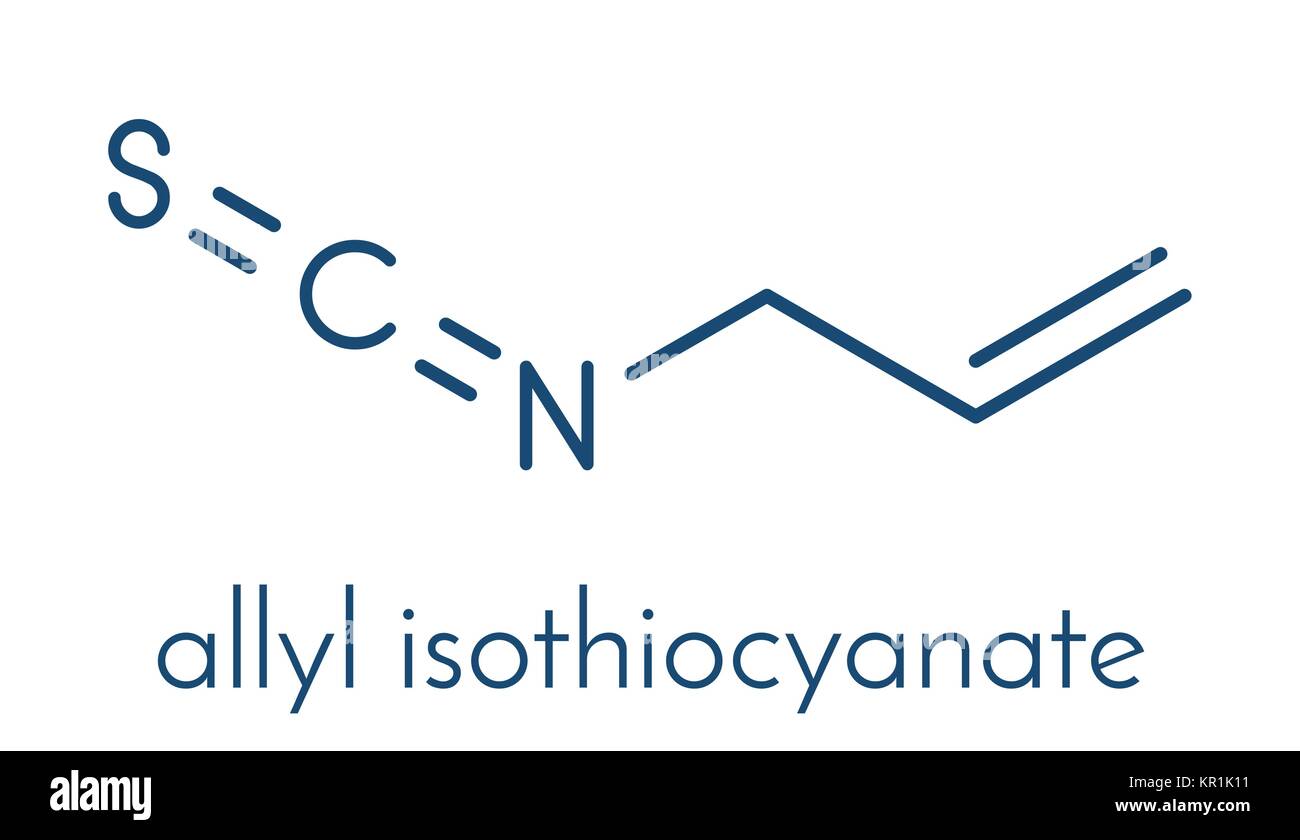 Allylisothiocyanat Senf schärfe Molekül. Verantwortlich für den scharfen Geschmack von Senf, Meerrettich und wasabi. Skelettmuskulatur Formel. Stock Vektor