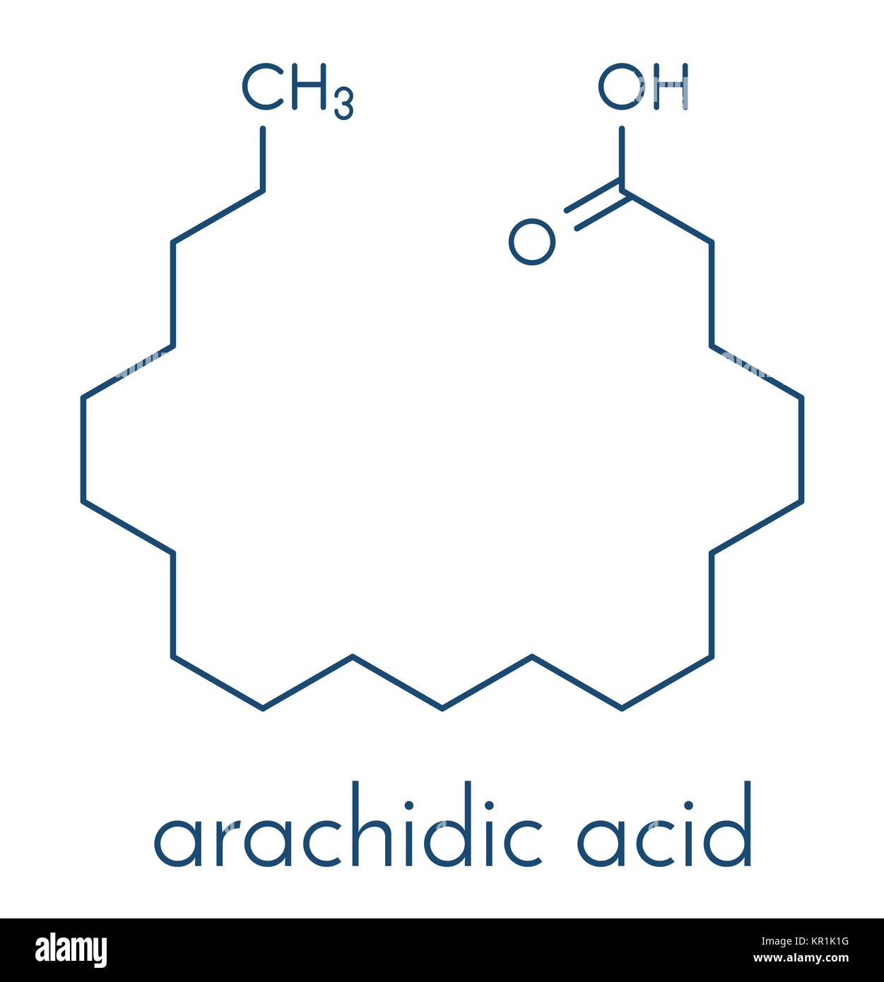 Arachidic (arachinsäure) acid Molekül. Gesättigte Fettsäuren. Skelettmuskulatur Formel. Stock Vektor